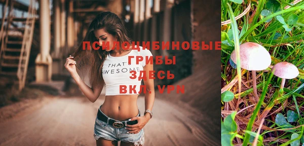 сатива Алексеевка