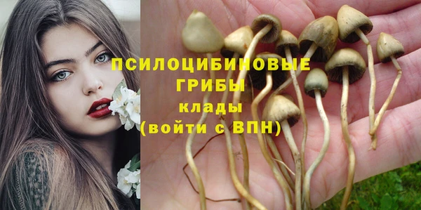 сатива Алексеевка